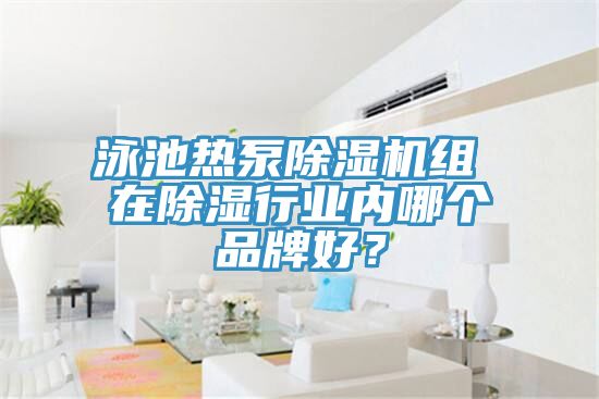 泳池熱泵草莓视频污污污污組 在除濕行業內哪個品牌好？