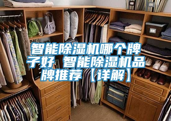 智能草莓视频污污污污哪個牌子好 智能草莓视频污污污污品牌推薦【詳解】