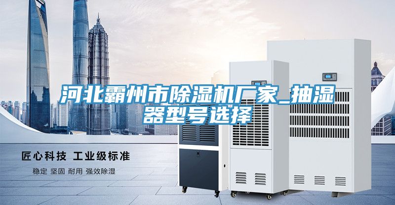 河北霸州市草莓视频污污污污廠家_抽濕器型號選擇