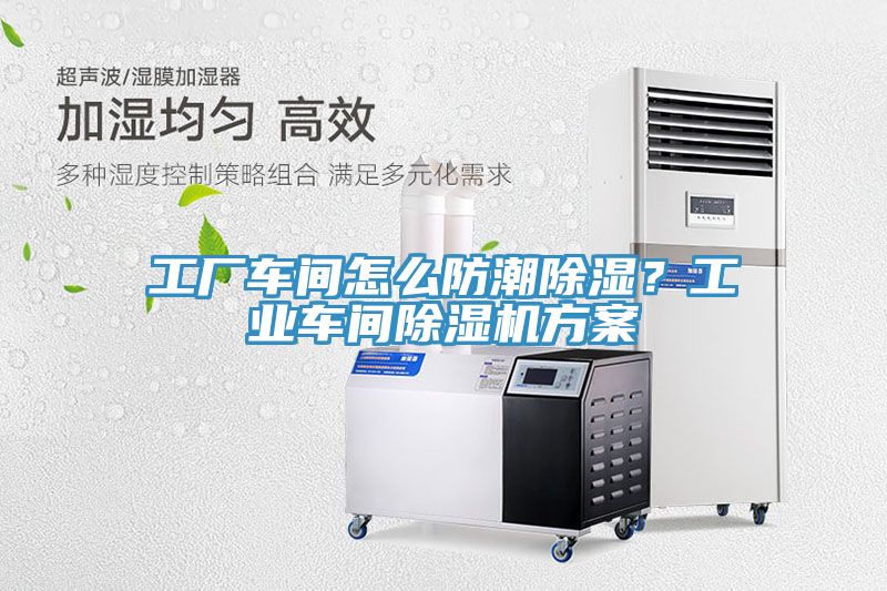 工廠車間怎麽防潮除濕？工業車間草莓视频污污污污方案