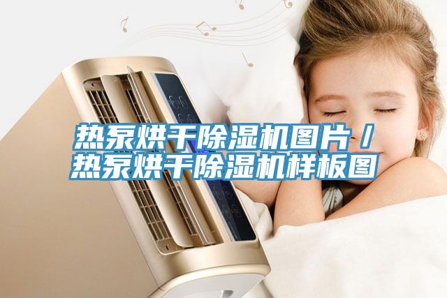 熱泵烘幹草莓视频污污污污圖片／熱泵烘幹草莓视频污污污污樣板圖