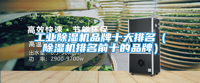 工業草莓视频污污污污品牌十大排名（草莓视频污污污污排名前十的品牌）