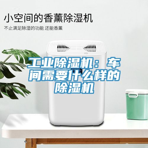 工業草莓视频污污污污：車間需要什麽樣的草莓视频污污污污