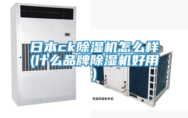 日本ck草莓视频污污污污怎麽樣(什麽品牌草莓视频污污污污好用)