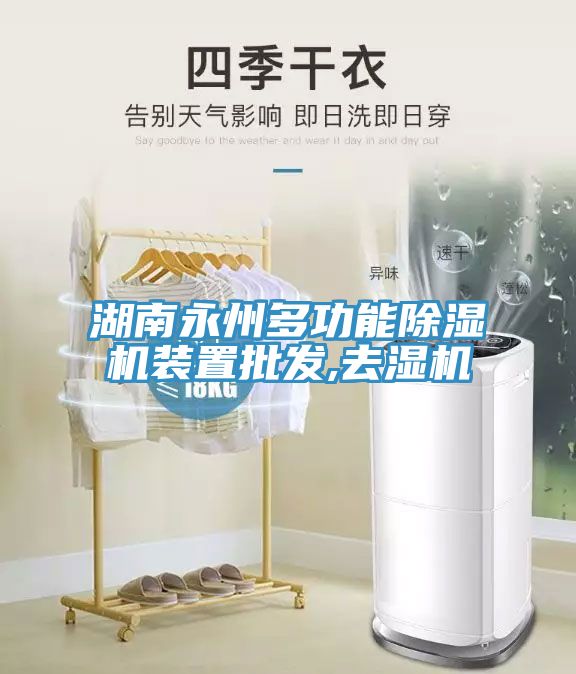 湖南永州多功能草莓视频污污污污裝置批發,去濕機