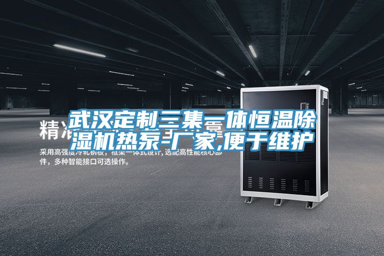 武漢定製三集一體恒溫草莓视频污污污污熱泵-廠家,便於維護