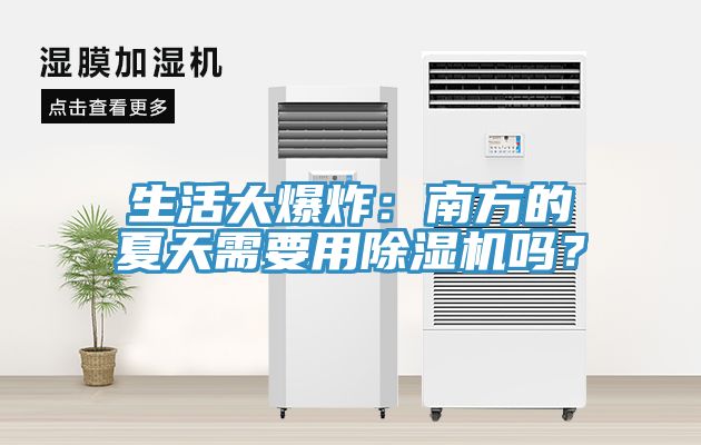 生活大爆炸：南方的夏天需要用草莓视频污污污污嗎？