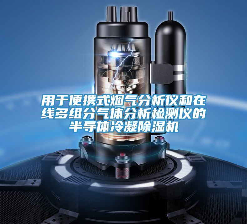 用於便攜式煙氣分析儀和在線多組分氣體分析檢測儀的半導體冷凝草莓视频污污污污