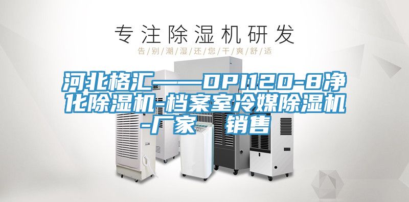 河北格匯——DPI120-8淨化草莓视频污污污污-檔案室冷媒草莓视频污污污污-廠家  銷售