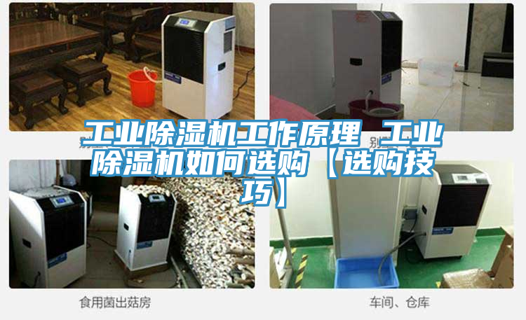 工業草莓视频污污污污工作原理 工業草莓视频污污污污如何選購【選購技巧】