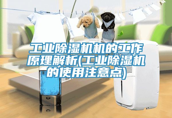 工業草莓视频污污污污機的工作原理解析(工業草莓视频污污污污的使用注意點)