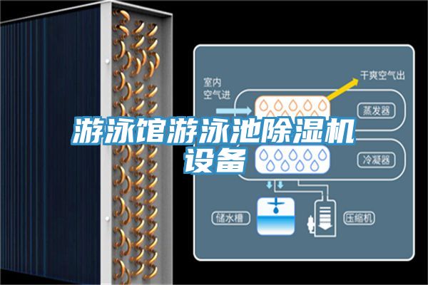 遊泳館遊泳池草莓视频污污污污設備