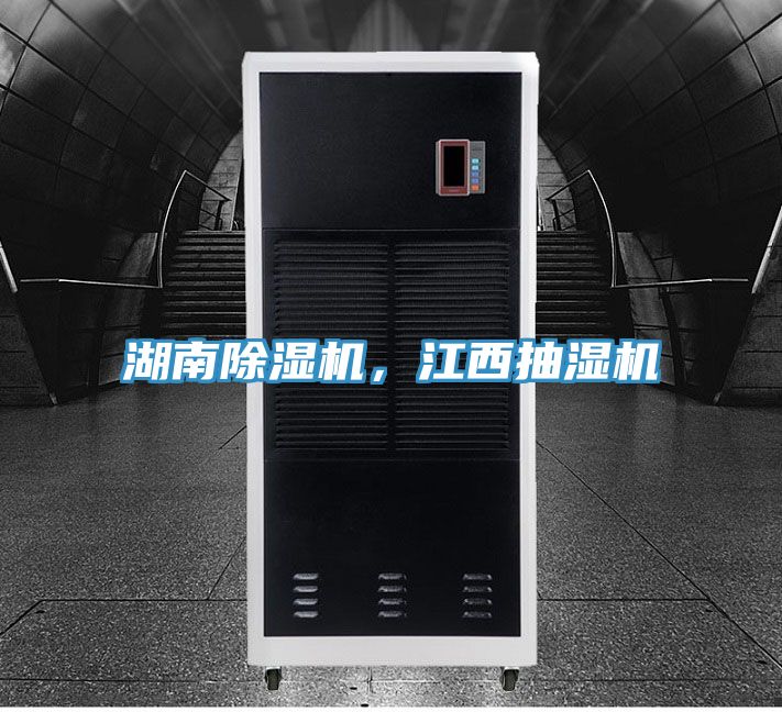 湖南草莓视频污污污污，江西抽濕機