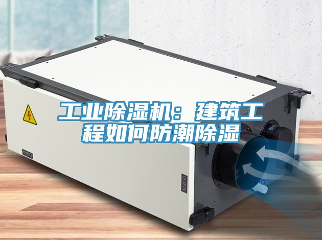工業草莓视频污污污污：建築工程如何防潮除濕