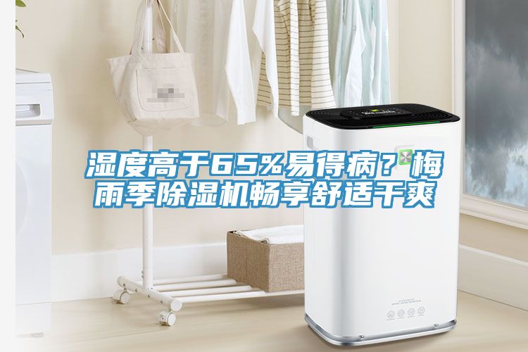 濕度高於65%易得病？梅雨季草莓视频污污污污暢享舒適幹爽