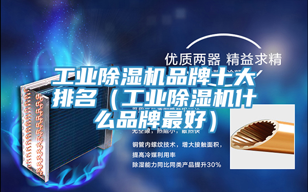 工業草莓视频污污污污品牌十大排名（工業草莓视频污污污污什麽品牌最好）