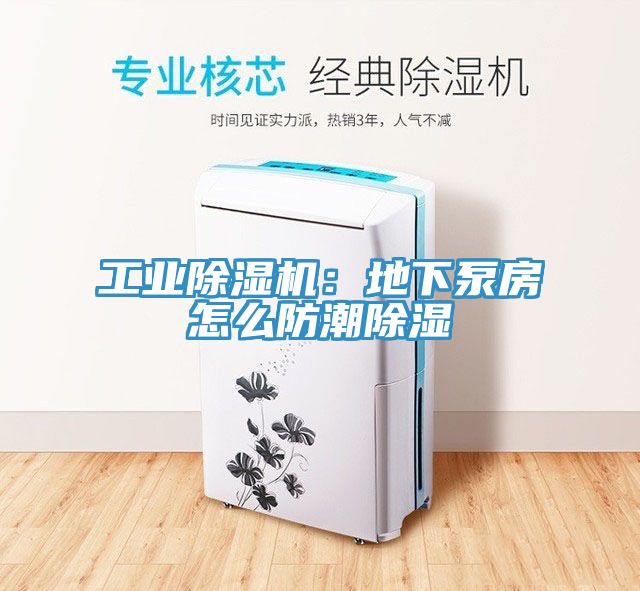 工業草莓视频污污污污：地下泵房怎麽防潮除濕