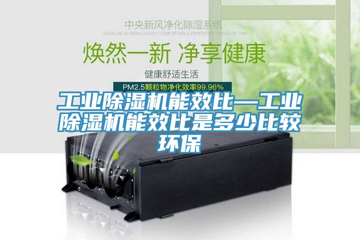 工業草莓视频污污污污能效比—工業草莓视频污污污污能效比是多少比較環保