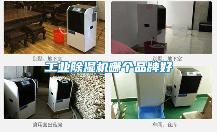 工業草莓视频污污污污哪個品牌好