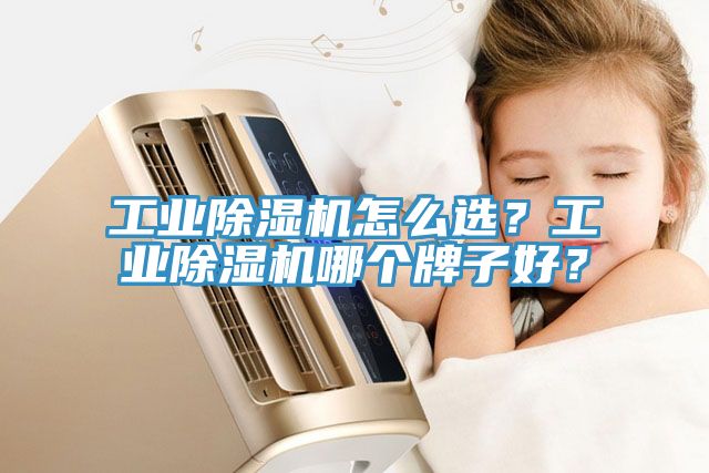 工業草莓视频污污污污怎麽選？工業草莓视频污污污污哪個牌子好？