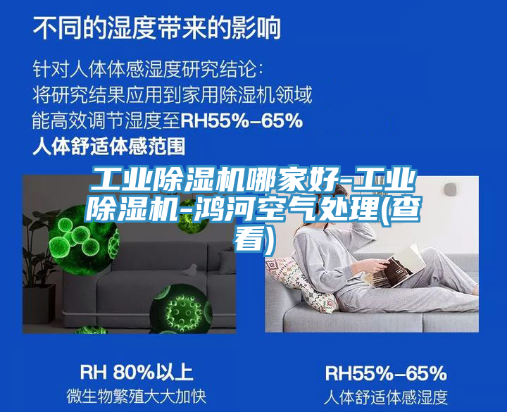 工業草莓视频污污污污哪家好-工業草莓视频污污污污-鴻河空氣處理(查看)