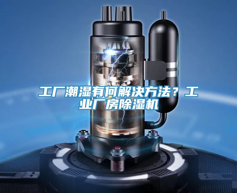工廠潮濕有何解決方法？工業廠房草莓视频污污污污