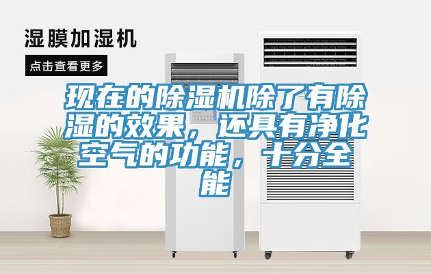 現在的草莓视频污污污污除了有除濕的效果，還具有淨化空氣的功能，十分全能