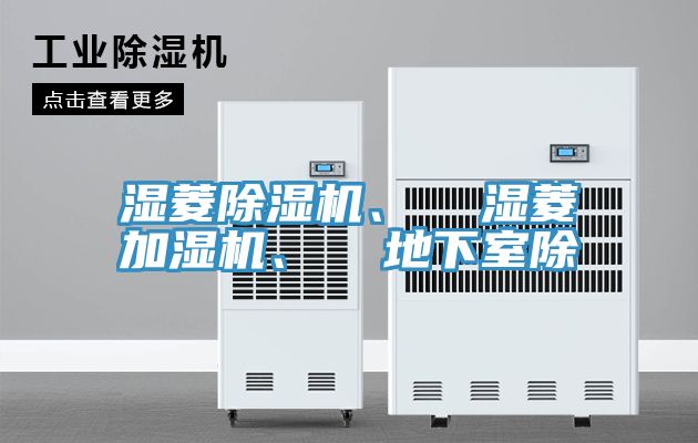 濕菱草莓视频污污污污、  濕菱加濕機、  地下室除
