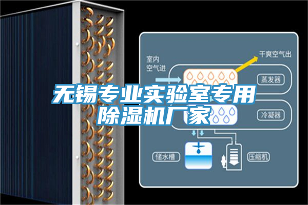 無錫專業實驗室專用草莓视频污污污污廠家