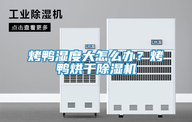 烤鴨濕度大怎麽辦？烤鴨烘幹草莓视频污污污污