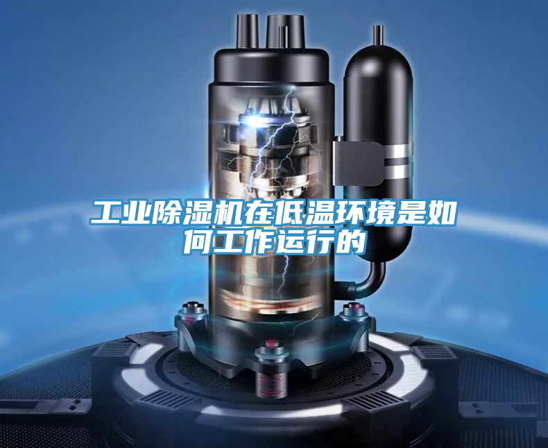 工業草莓视频污污污污在低溫環境是如何工作運行的