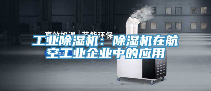 工業草莓视频污污污污：草莓视频污污污污在航空工業企業中的應用
