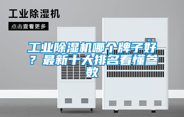 工業草莓视频污污污污哪個牌子好？最新十大排名看懂參數
