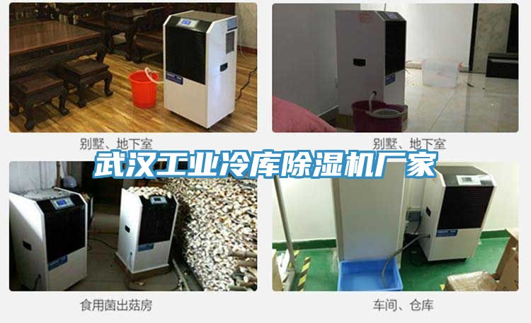 武漢工業冷庫草莓视频污污污污廠家