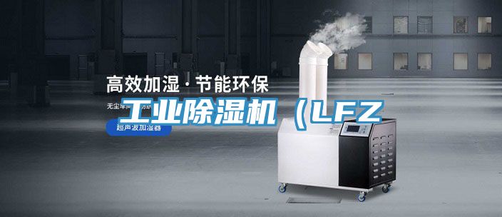工業草莓视频污污污污（LFZ