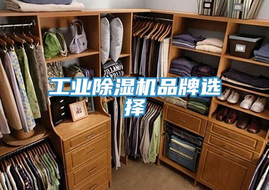 工業草莓视频污污污污品牌選擇