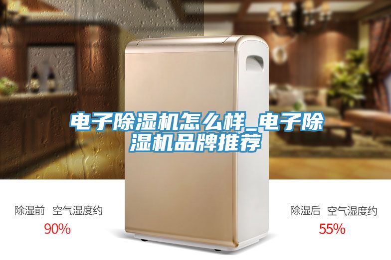 電子草莓视频污污污污怎麽樣_電子草莓视频污污污污品牌推薦