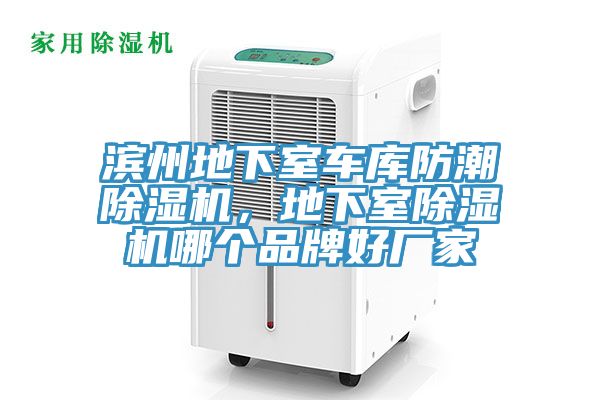濱州地下室車庫防潮草莓视频污污污污，地下室草莓视频污污污污哪個品牌好廠家