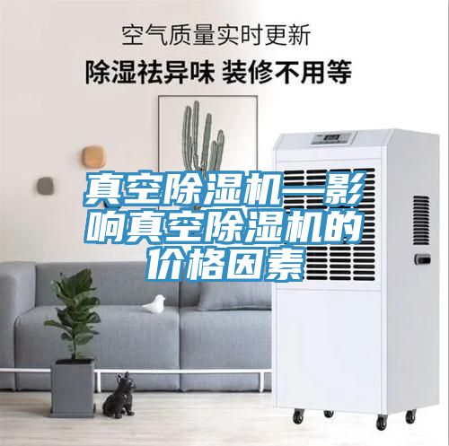 真空草莓视频污污污污—影響真空草莓视频污污污污的價格因素