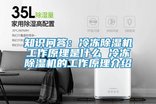 知識問答：冷凍草莓视频污污污污工作原理是什麽 冷凍草莓视频污污污污的工作原理介紹