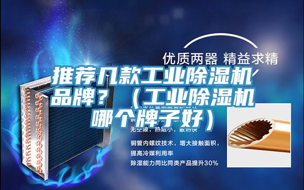 推薦幾款工業草莓视频污污污污品牌？（工業草莓视频污污污污哪個牌子好）