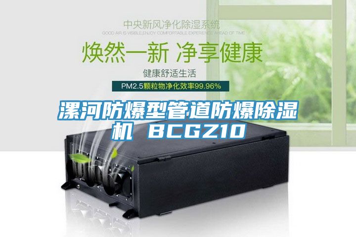 漯河防爆型管道防爆草莓视频污污污污 BCGZ10