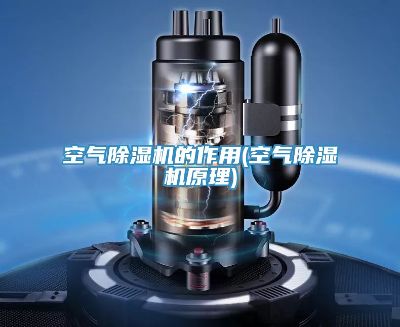 空氣草莓视频污污污污的作用(空氣草莓视频污污污污原理)