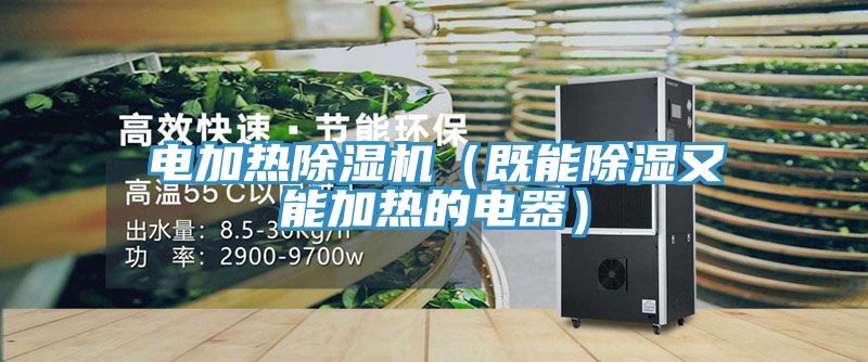 電加熱草莓视频污污污污（既能除濕又能加熱的電器）