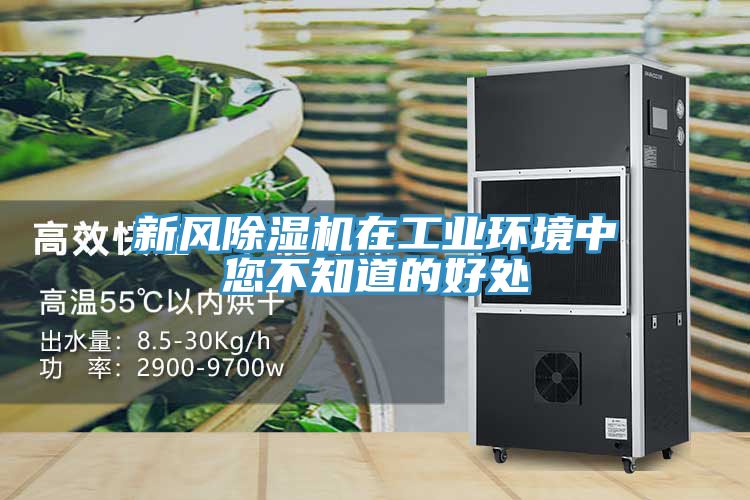 新風草莓视频污污污污在工業環境中您不知道的好處