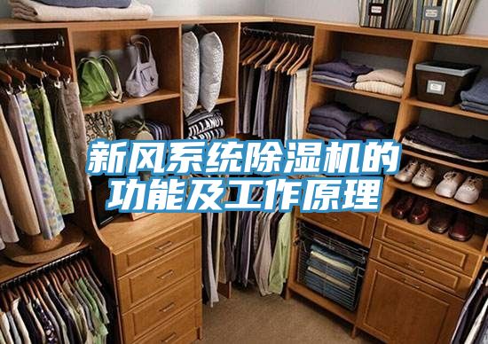 新風係統草莓视频污污污污的功能及工作原理