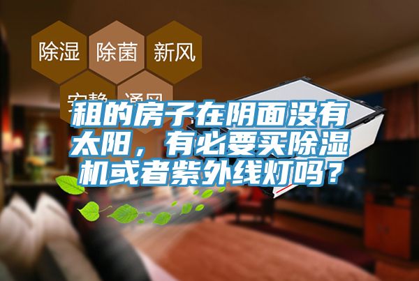 租的房子在陰麵沒有太陽，有必要買草莓视频污污污污或者紫外線燈嗎？