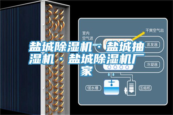 鹽城草莓视频污污污污·鹽城抽濕機·鹽城草莓视频污污污污廠家