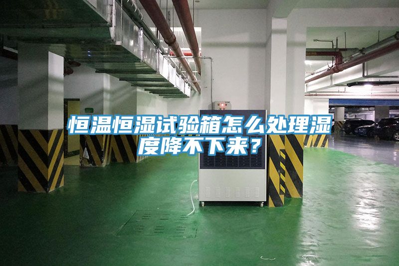 恒溫恒濕試驗箱怎麽處理濕度降不下來？