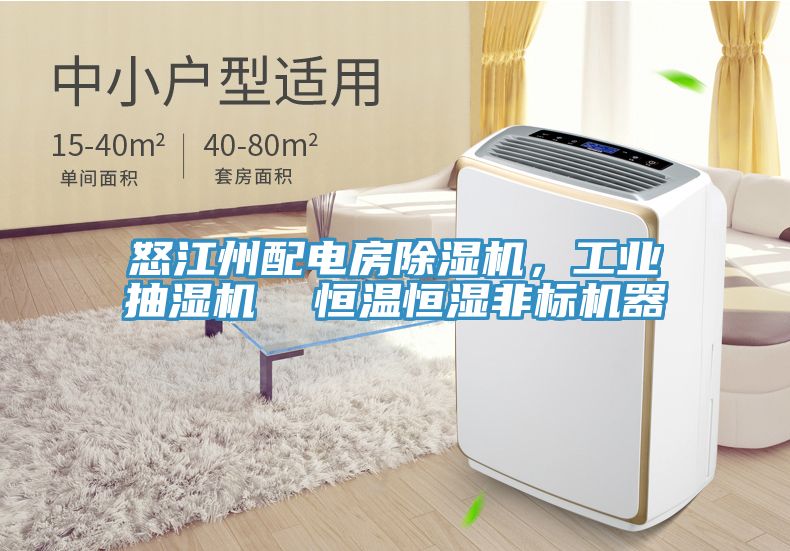 怒江州配電房草莓视频污污污污，工業抽濕機  恒溫恒濕非標機器